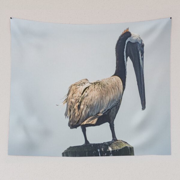 Item preview, Brown Pelican in Calabash designed and sold by KensLensDesigns.