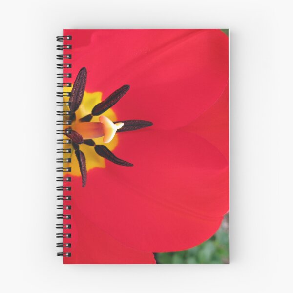 Item preview, Red Tulip designed and sold by CavyGirl.