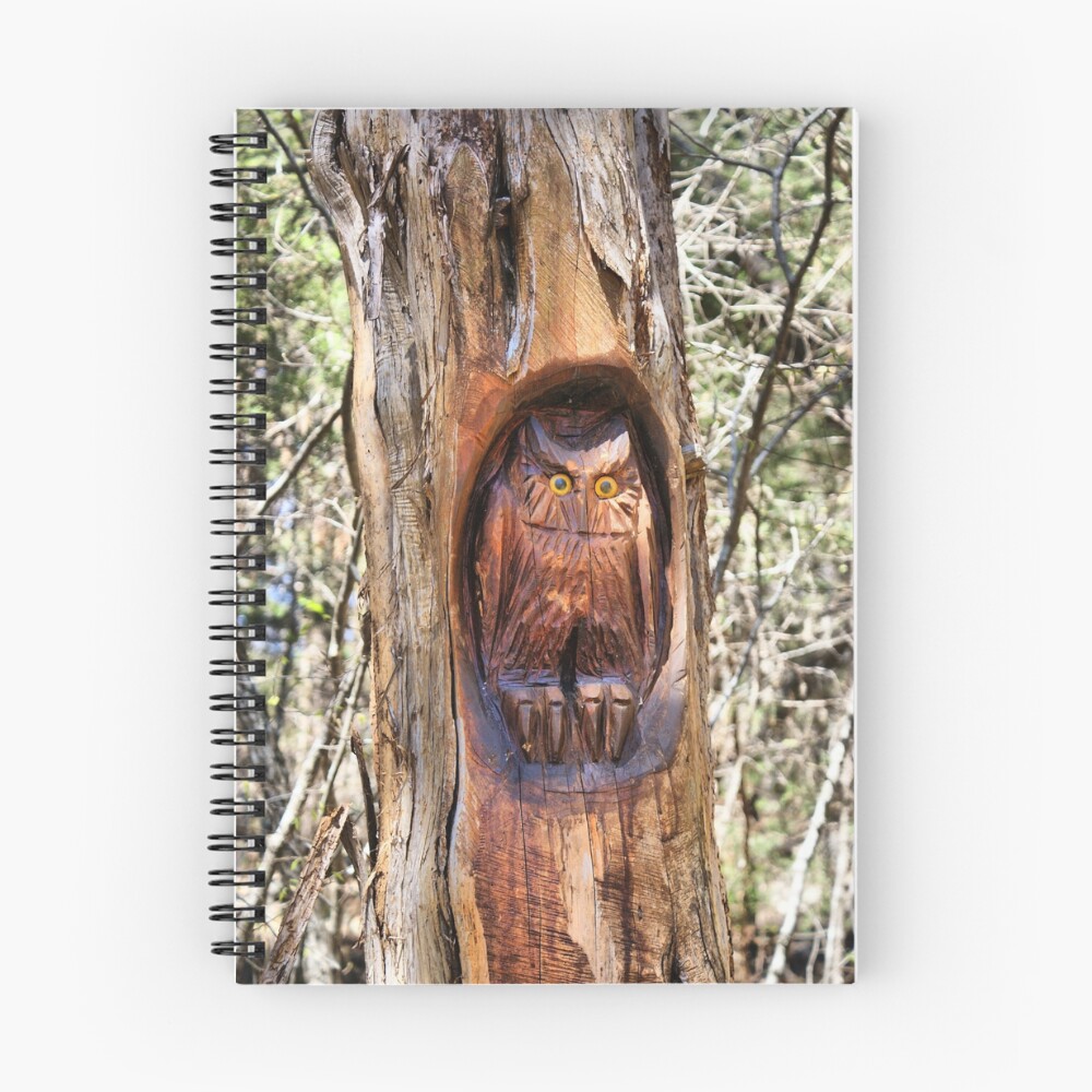 Item preview, Spiral Notebook designed and sold by RickF.