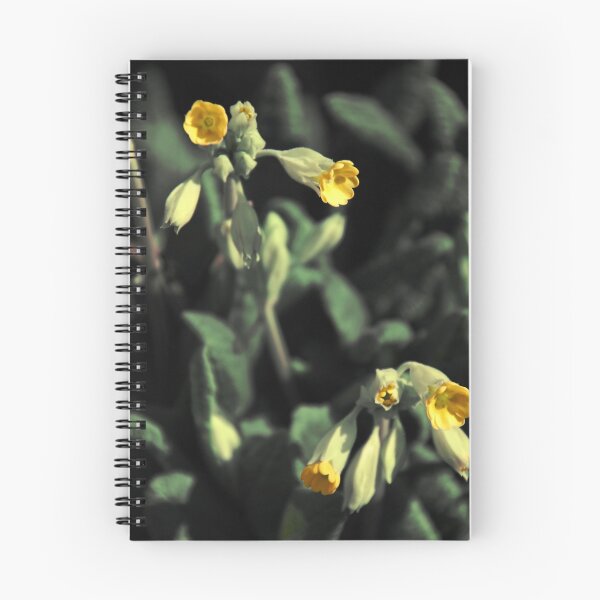 Item preview, Primrose designed and sold by Roswitha Lorz.