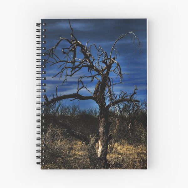 Item preview, Night Falls designed and sold by Barbara Manis.