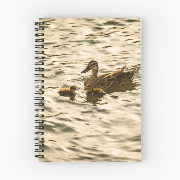 Item preview, Baby Mallard and Mother designed and sold by KensLensDesigns.