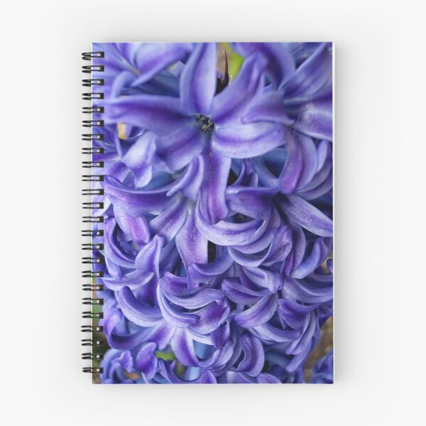 Item preview, Hyacinth designed and sold by Nella Khanis.