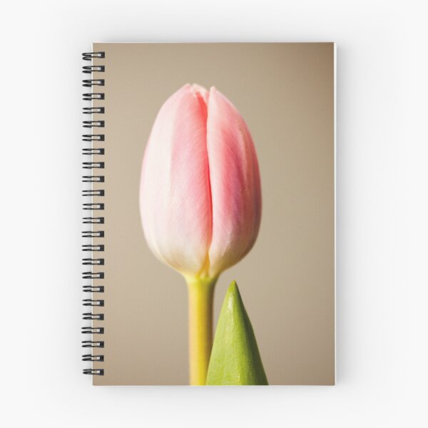 Item preview, Stark Tulip Bloom designed and sold by Brian Thedell.