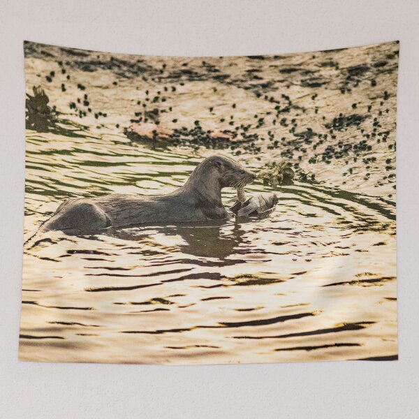 Item preview, Otter in water designed and sold by KensLensDesigns.