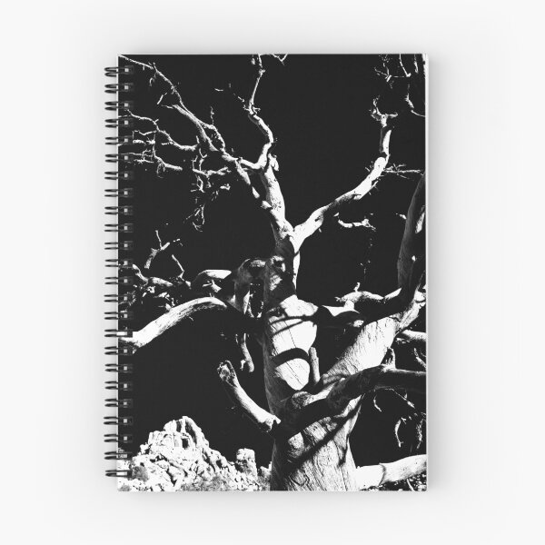 Aperçu de l'œuvre Skeleton of a tree créée et vendue par bonsta.