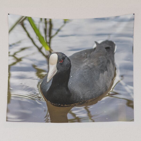 Item preview, Hawaiian coot of  Honolulu 3 designed and sold by KensLensDesigns.