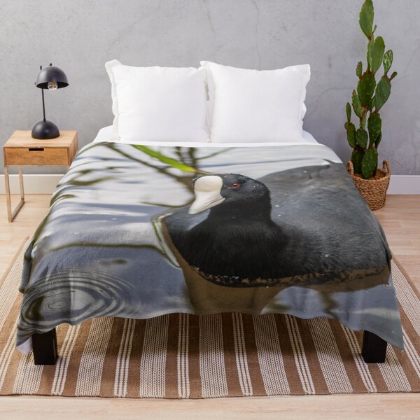 Item preview, Hawaiian coot designed and sold by KensLensDesigns.
