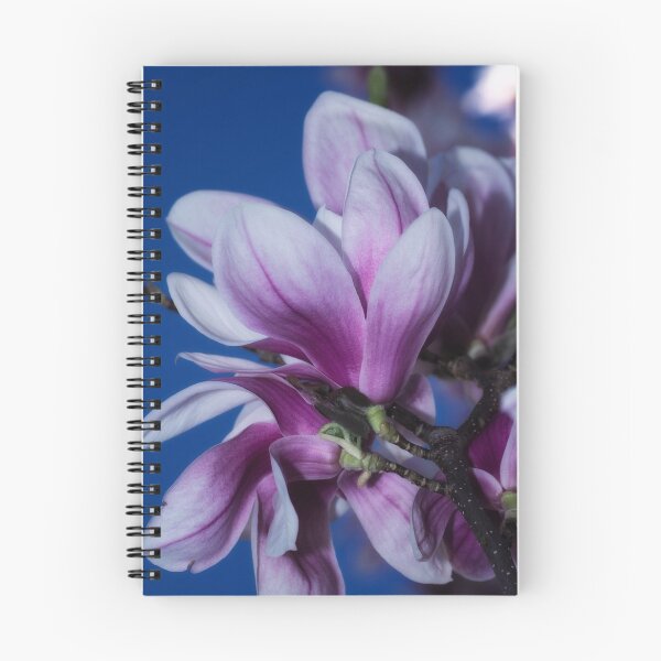 Item preview, Magnolia II designed and sold by Dania Reichmuth.