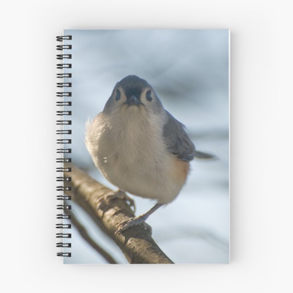 Item preview, Pugnacious Titmouse designed and sold by Michael  Dreese.