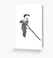 hint of snow Greeting Card