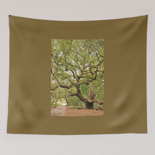 Item preview, Stately Old Live Oak Tree on Cumberland Isl., GA designed and sold by 2CrabbySisters.