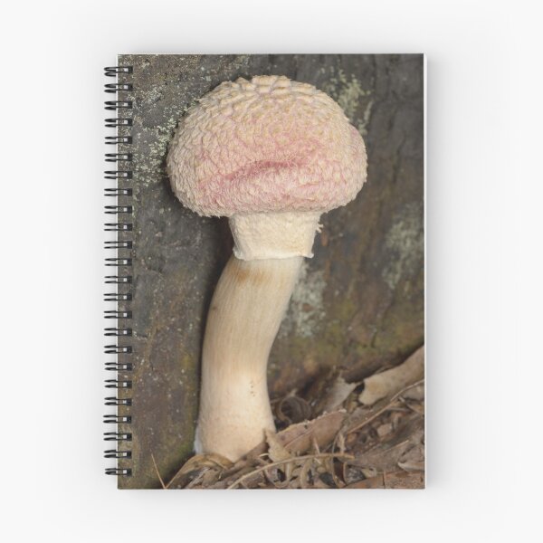 Item preview, Mushroom - Boletellus ananas designed and sold by Andrew Trevor-Jones.