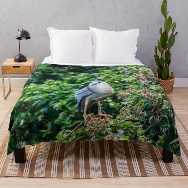 Item preview, Honolulu of black-crowned night heron designed and sold by KensLensDesigns.