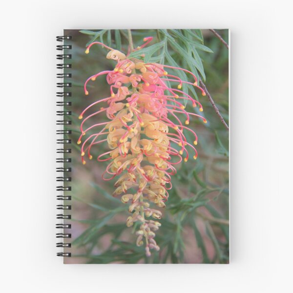 Aperçu de l'œuvre Grevillea créée et vendue par MyPerspective.