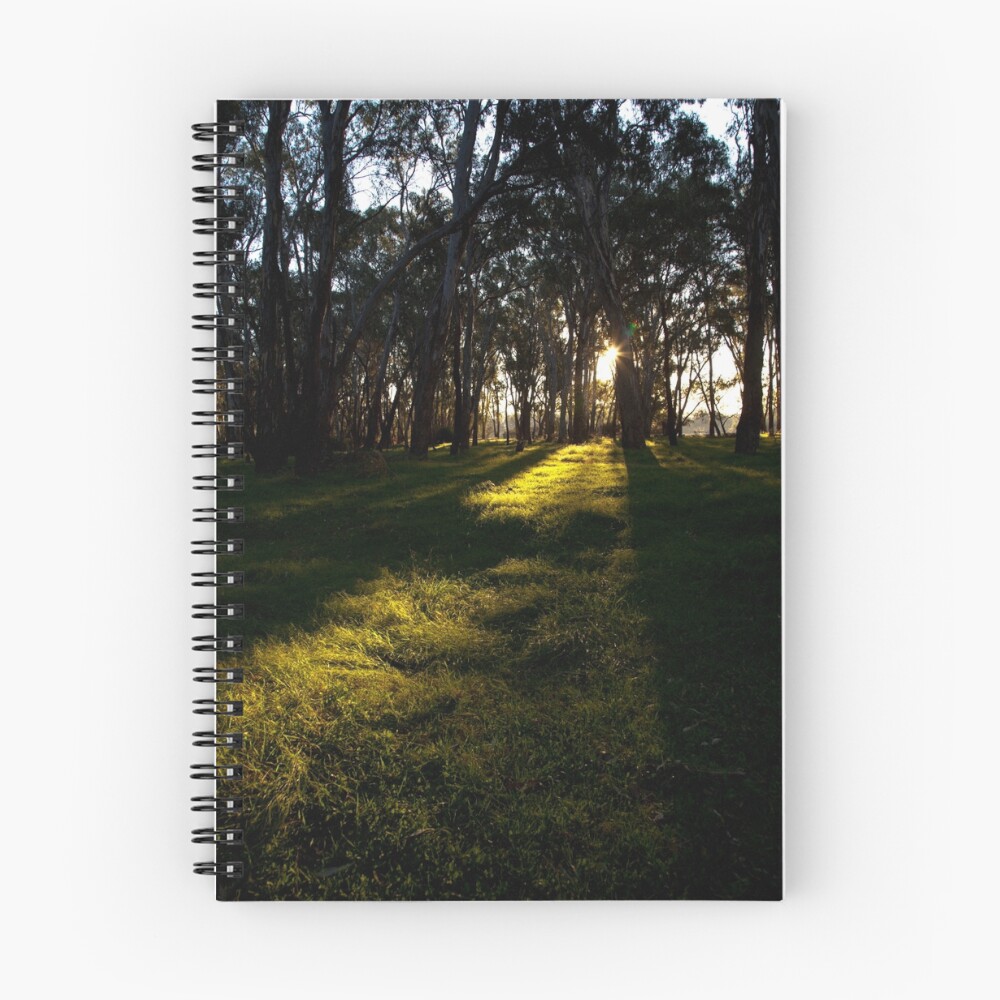 Vista previa del artículo con la obra «Cuaderno de espiral», diseñado y vendido por john99.