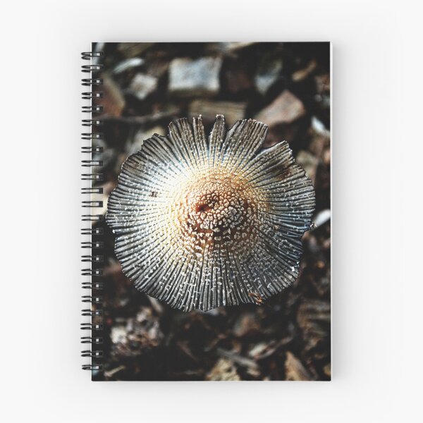 Item preview, One Fungi designed and sold by David Mellor.