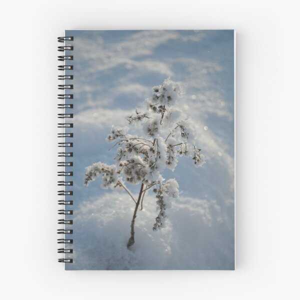 Item preview, Frosted designed and sold by bluefishrun.