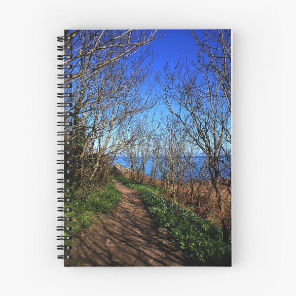 Item preview, A PATH WAY TO FUTURE DREAMS designed and sold by AndyReeve.