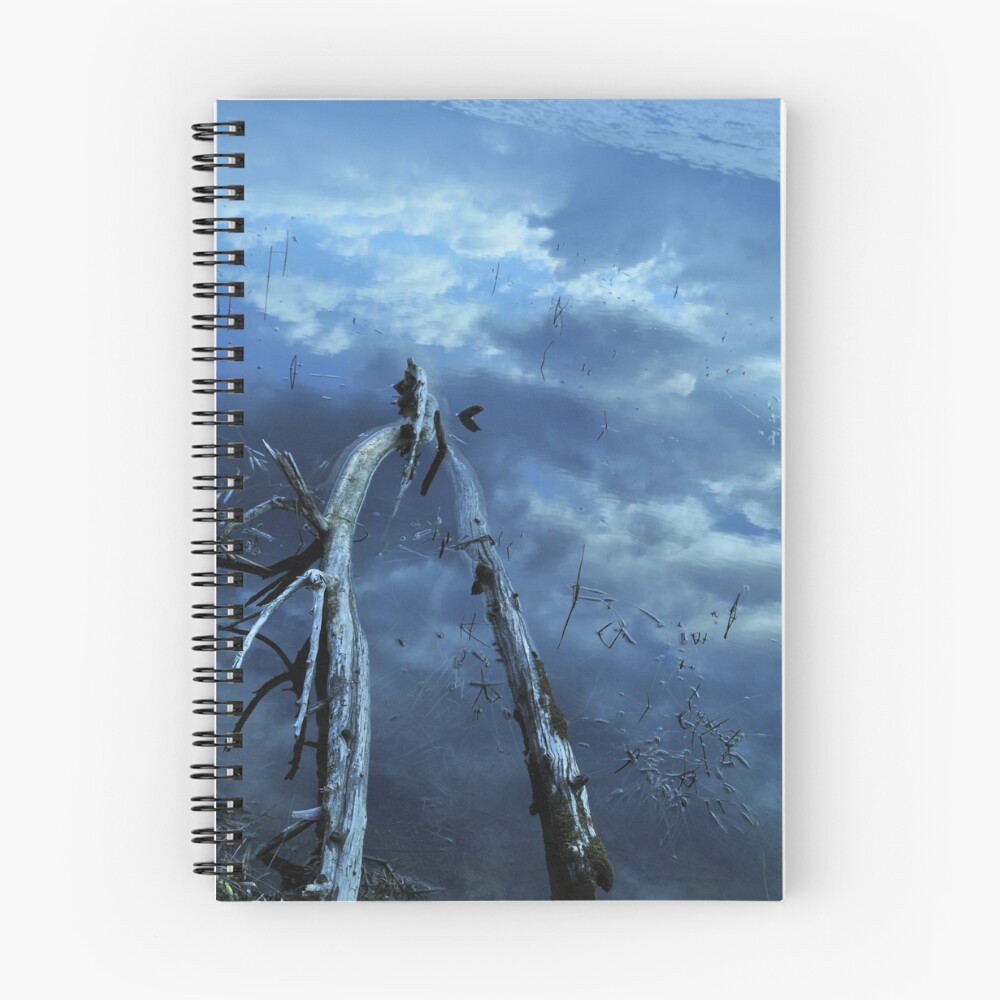 Item preview, Spiral Notebook designed and sold by deville.