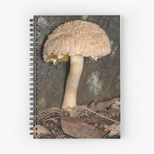 Item preview, Mushroom - Boletellus ananas designed and sold by Andrew Trevor-Jones.