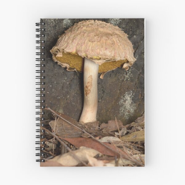 Item preview, Mushroom - Boletellus ananas designed and sold by Andrew Trevor-Jones.