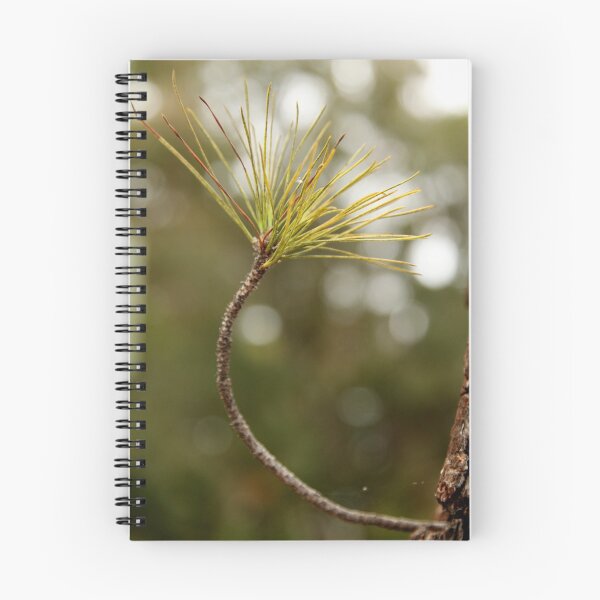 Item preview, Needles designed and sold by pulen.