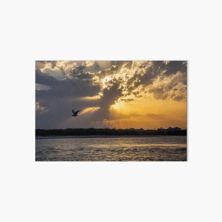 Aperçu de l'œuvre Coucher de soleil, vallée heureuse, Caloundra créée et vendue par Andrew Goodall.