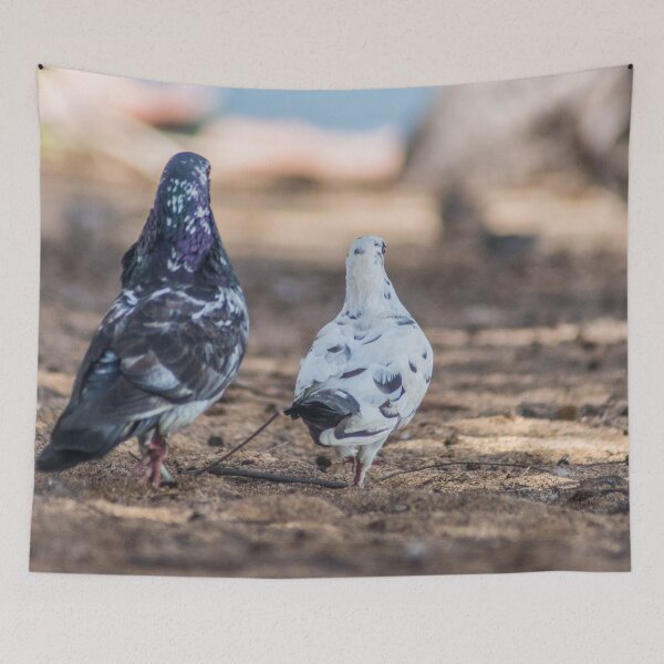 Item preview, Oriental roller and a Pigeon designed and sold by KensLensDesigns.