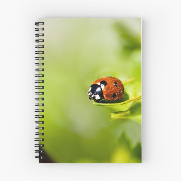 Item preview, Spring Ladybird designed and sold by Roger Hall.