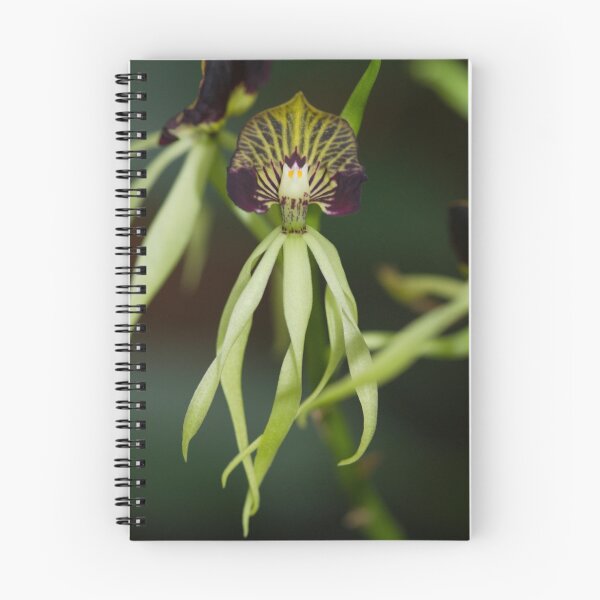 Item preview, Dancing Orchids designed and sold by olga zamora.