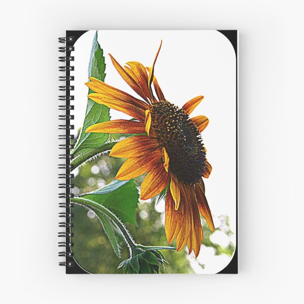 Item preview, Sunflower Symbolism designed and sold by kkphoto1.
