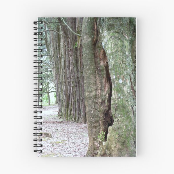 Item preview, Fairy tale tree designed and sold by Patroeska.