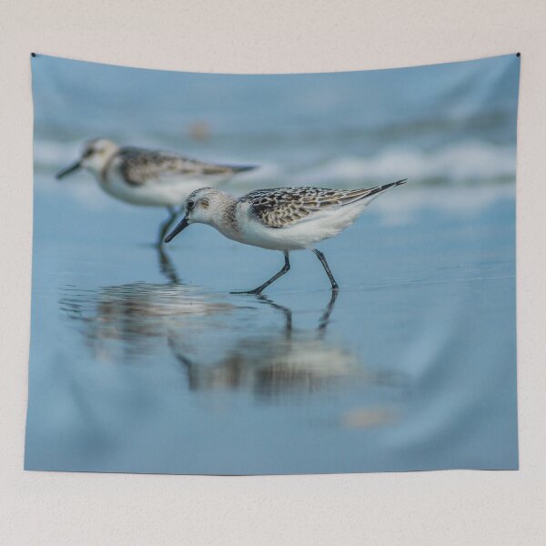 Item preview, Sandpiper 2 designed and sold by KensLensDesigns.