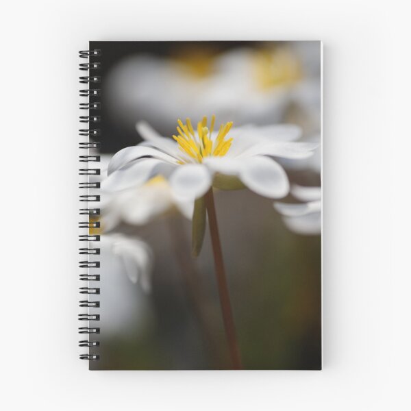 Item preview, Dreaming of Spring designed and sold by Tim Devine.