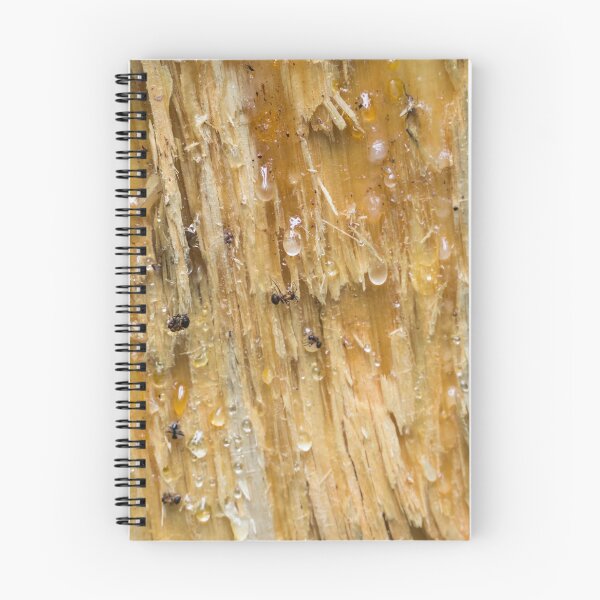 Item preview, Tree details designed and sold by Zina Stromberg.