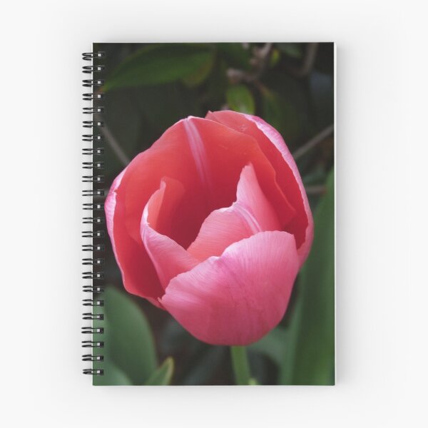 Item preview, Tulip designed and sold by Gordon Taylor.