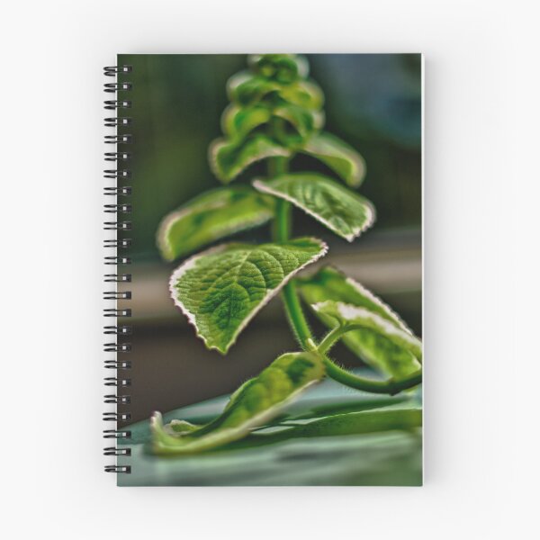 Item preview, Office Plant I designed and sold by DBGuinn.