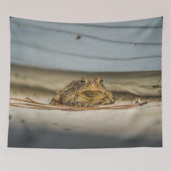 Item preview, Toad Balling designed and sold by KensLensDesigns.