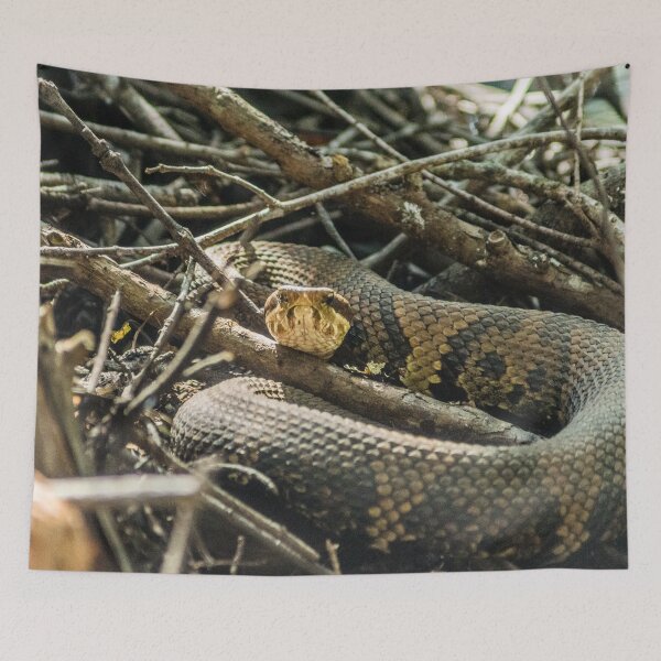Item preview, cottonmouth designed and sold by KensLensDesigns.