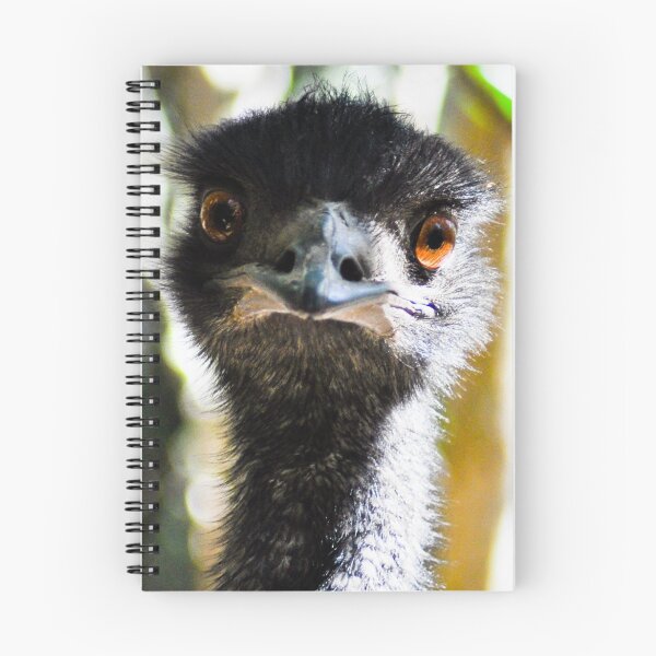Item preview, emu designed and sold by gary roberts.
