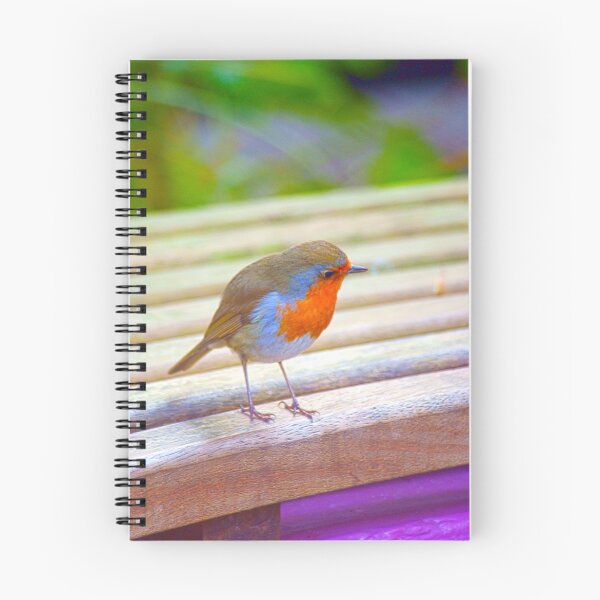 Item preview, Vibrant Robin designed and sold by Andy Beattie.
