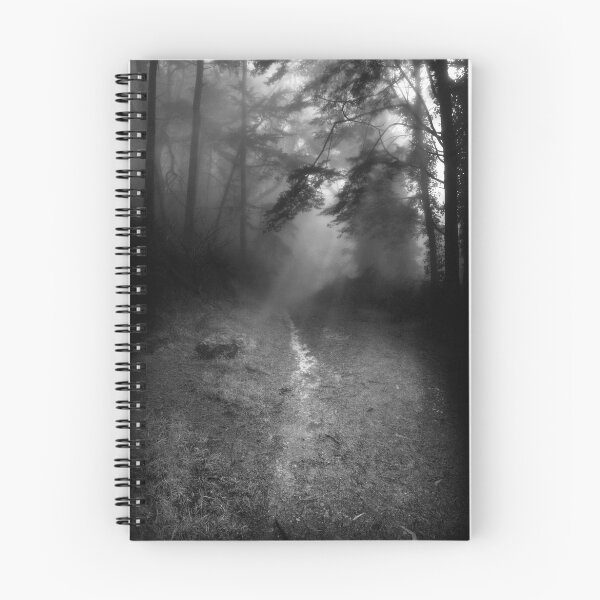 Item preview, Down the Path... designed and sold by Richard Mason.
