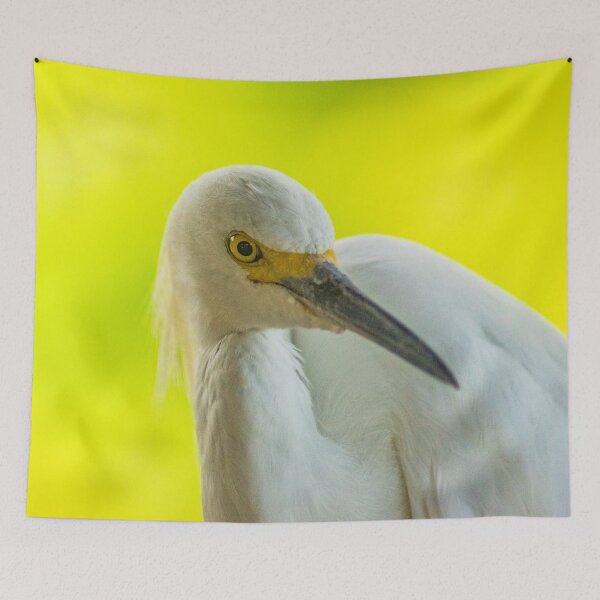Item preview, Handsome snowy egret designed and sold by KensLensDesigns.