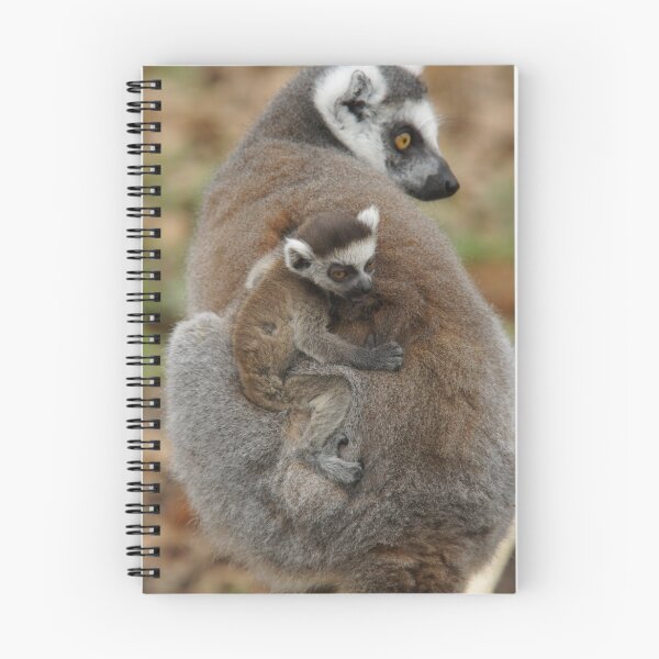 Artikelvorschau, Ring-tailed Lemur Mother & Child entworfen und verkauft von Lindie Allen.