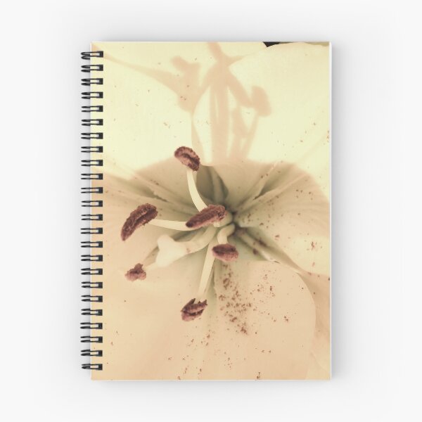 Artikelvorschau, Pastel Lily entworfen und verkauft von MyPerspective.