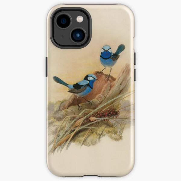 Splendid fairy wren, circa 1867 iPhone Tough Case