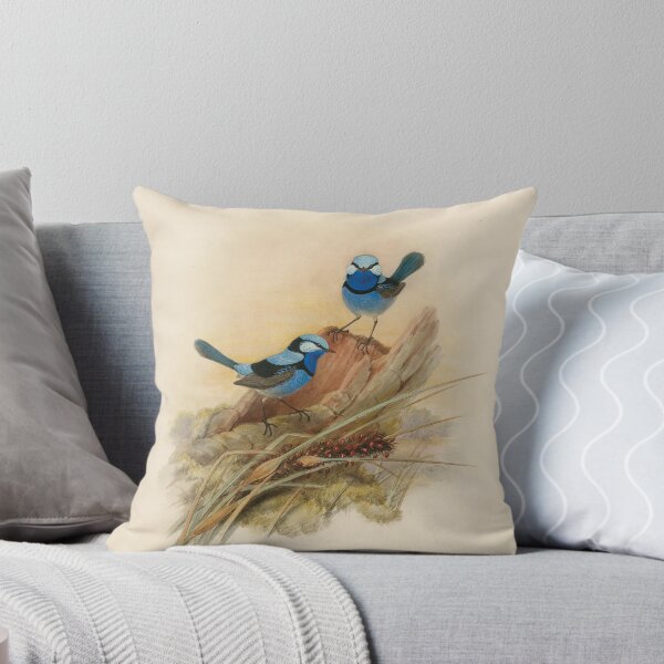 Item preview, Splendid fairy wren, circa 1867 designed and sold by State Library of South Australia.