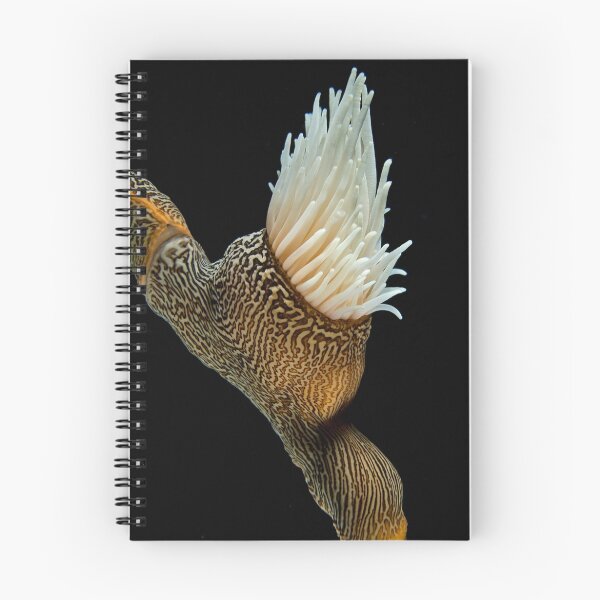 Item preview, Animals like a flower designed and sold by Gorden.