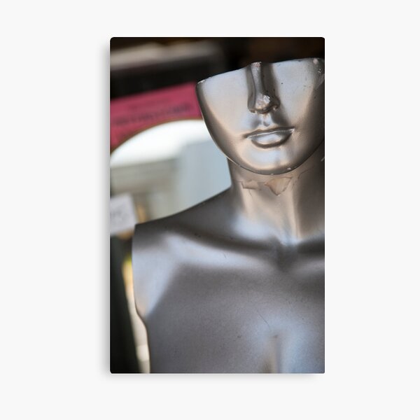 The Silver Lady Canvas Print